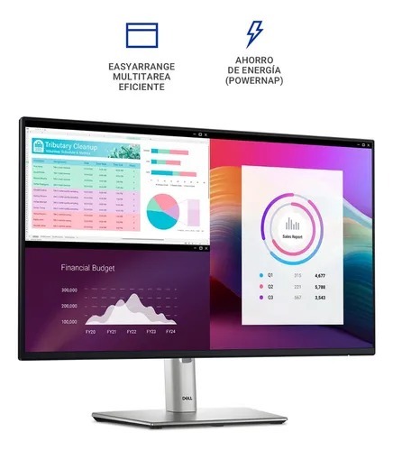 DELL PRO 24 PLUS USB-C HUB P2425HE - MONITOR IPS 23.8" NEGRO / PLATA